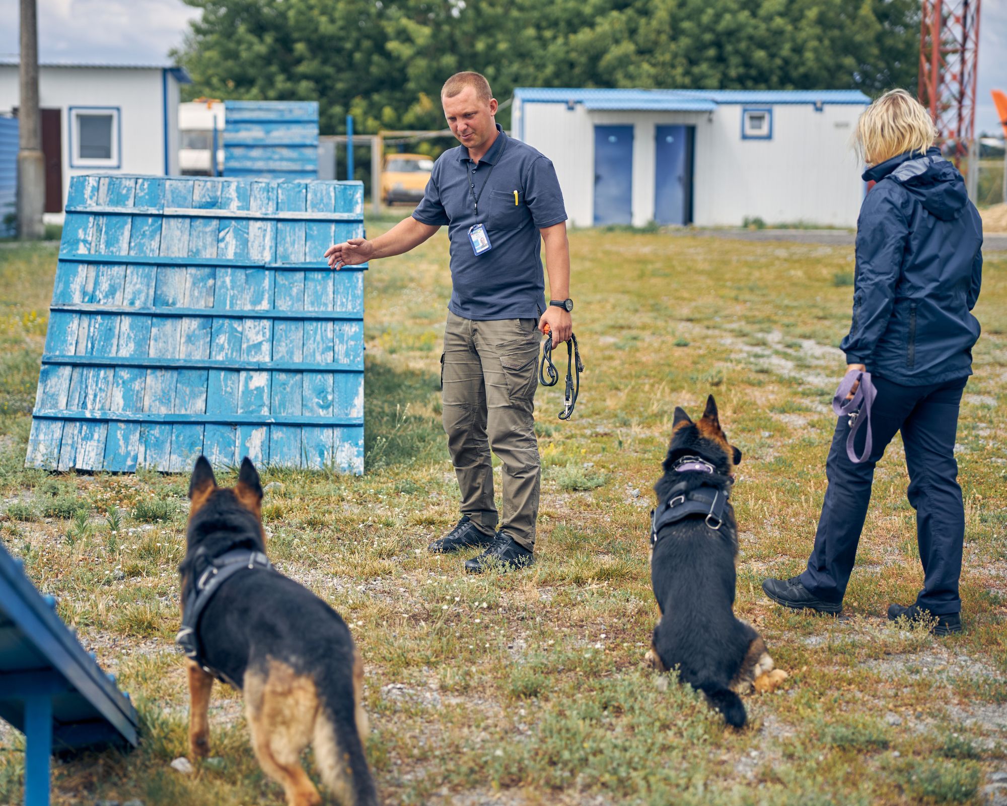 Éducateur canin professionnel en séance de travail avec deux bergers allemands